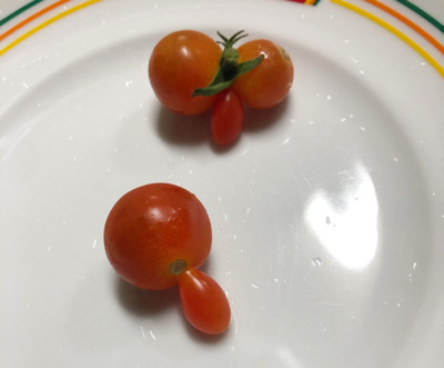 珍トマト