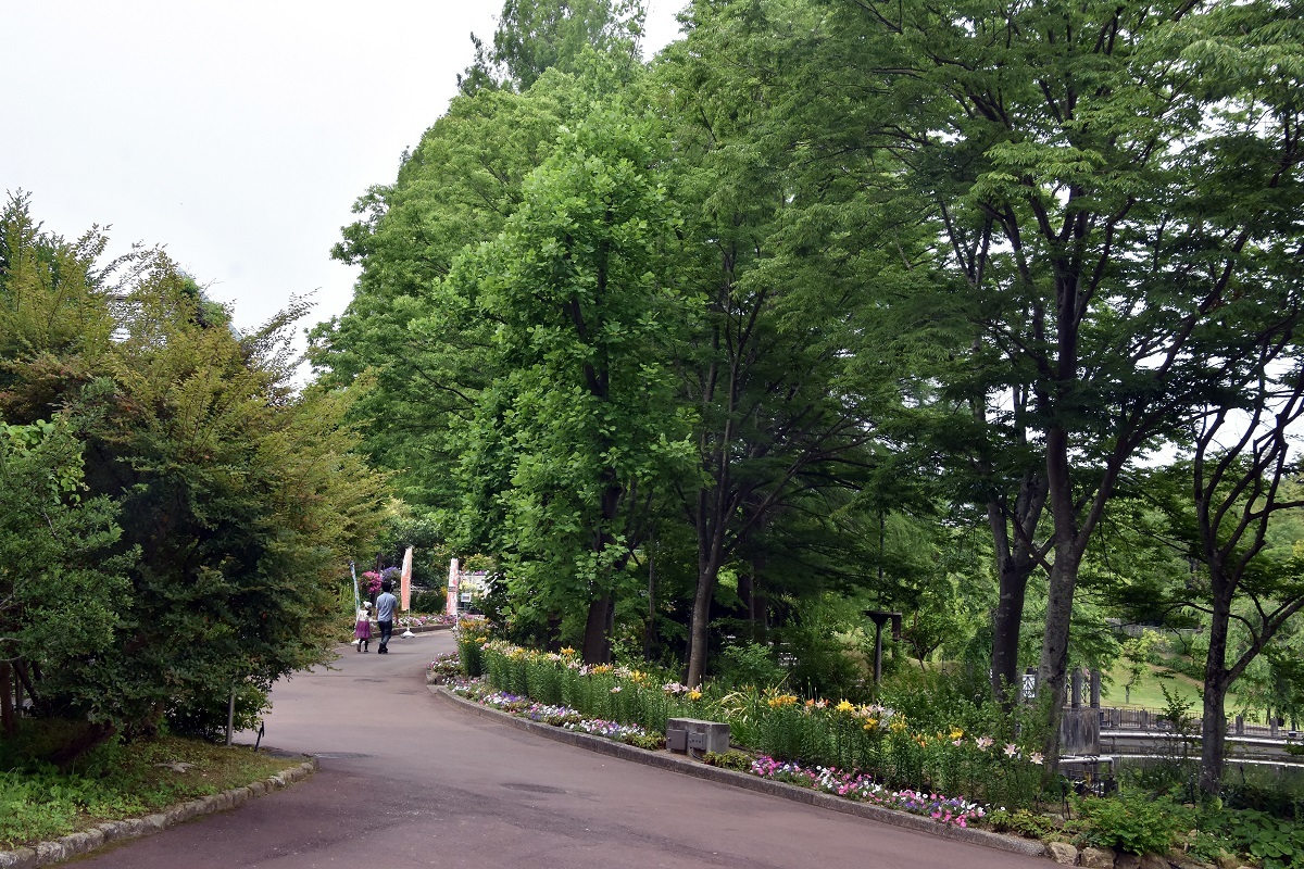 花の文化園ユリまみれ (10)