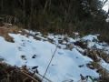 残った雪に狸の足跡