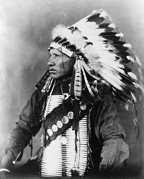 伝統衣装をまとったスー族の戦士、ジトカラ・サ（19世紀の撮影）
