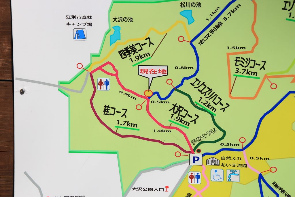 200419野幌森林公園 (4)