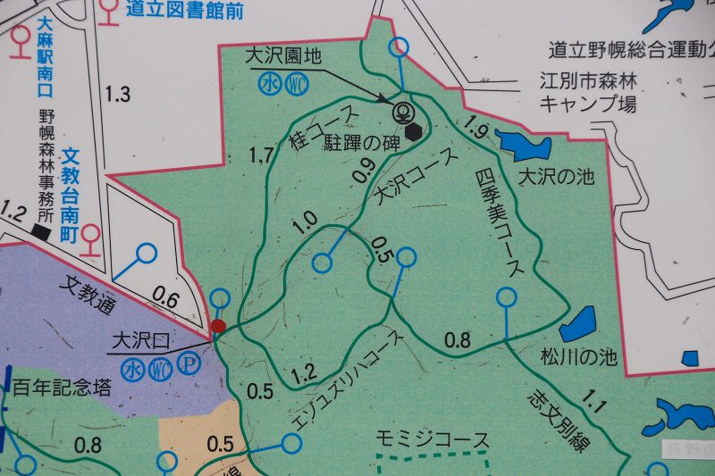 200426野幌森林公園 (1)