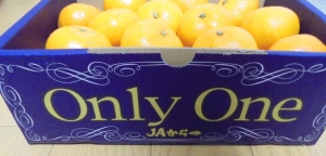 ONLY ONEみかん