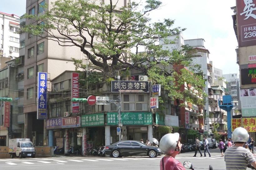 201310台湾‗07大きな木 (2)