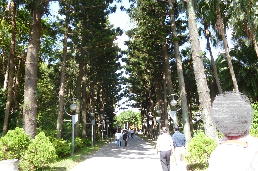 201310台湾‗10植物園 (4)