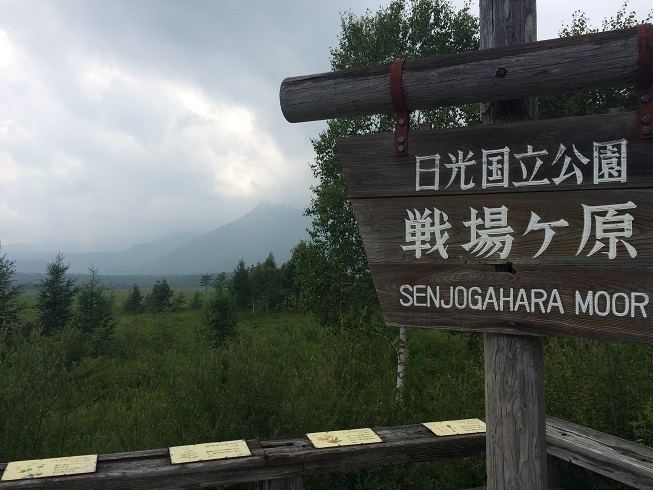 2015senjogahara1.jpg
