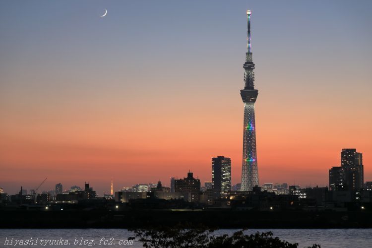 5Z2A0759 東京タワーとスカイツリーSN