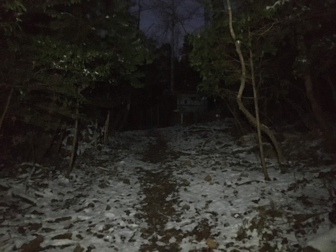 2021高代寺山/残雪