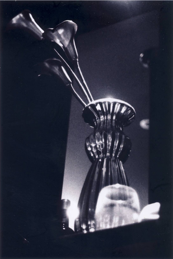 影の花瓶