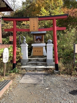 うさぎ神社