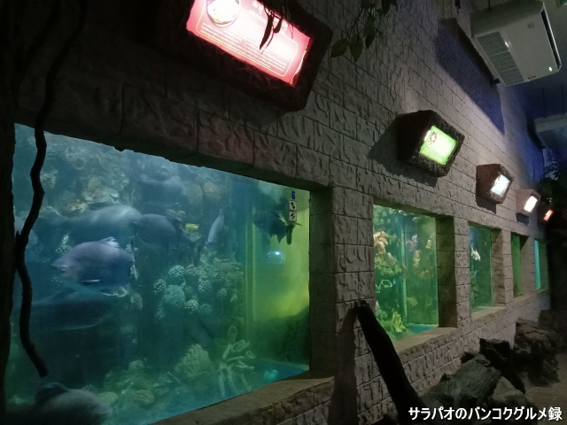 シーサケット水族館 Sisaket Aquarium