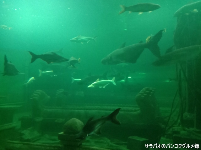 シーサケット水族館 Sisaket Aquarium