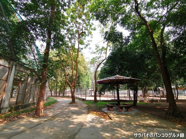 Somdet Phra Srinagarindra Park Zoo / สวนสัตว์ สวนสมเด็จพระศรีนครินทร์ ศรีสะเกษ