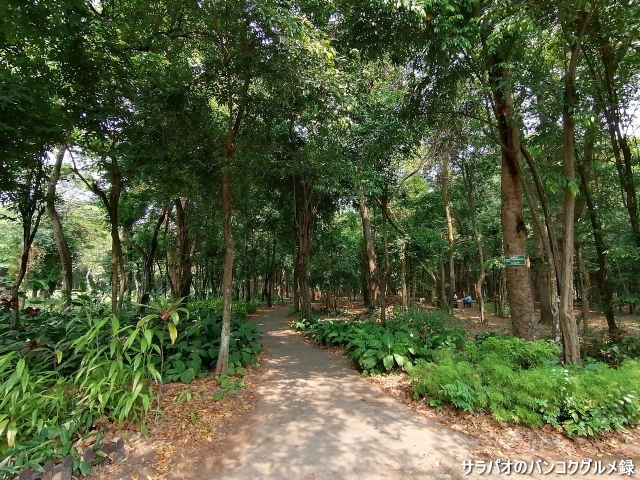 Somdet Phra Srinagarindra Park Zoo / สวนสัตว์ สวนสมเด็จพระศรีนครินทร์ ศรีสะเกษ