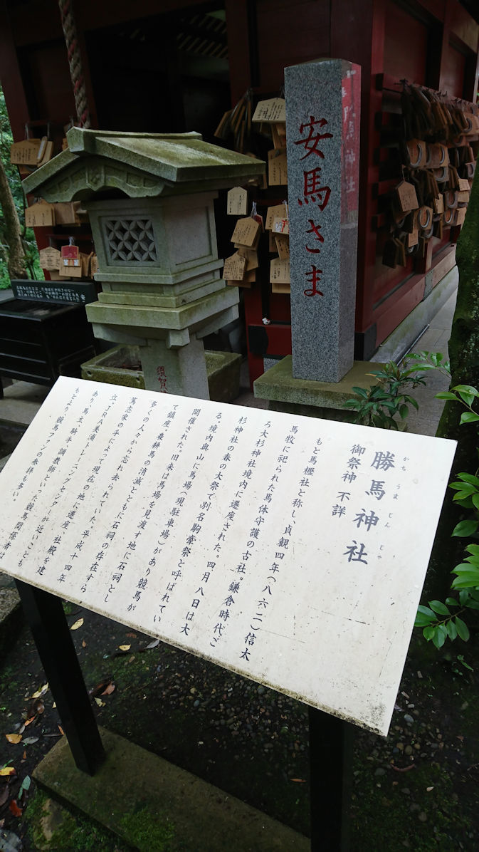 茨城百阿波の大杉神社5