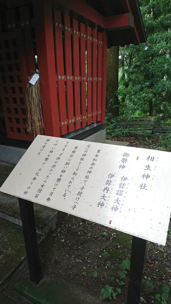 茨城百阿波の大杉神社6