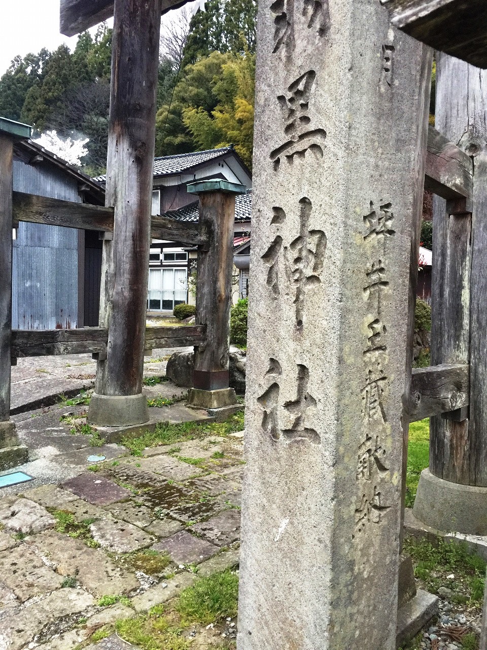 つぼ坪井玉蔵 両津羽黒神社 (2)
