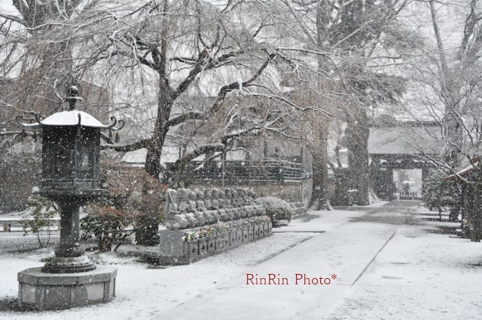 2015年１月雪の宝憧寺