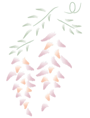 Illustratorブラシによる藤の花 フォトショップ イラストレーターの会 三茶