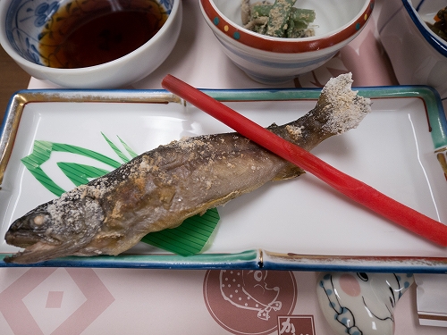 ④salted grilled Iwana fish(Char)