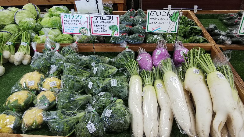 道の駅たくみの里新鮮野菜202006