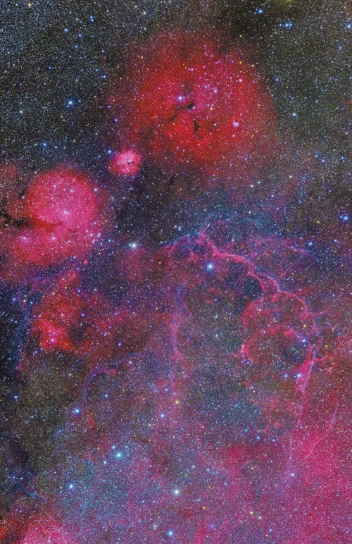 ニュージーランド ガム星雲 ほ座超新星残骸 vela SNR supernova remnant