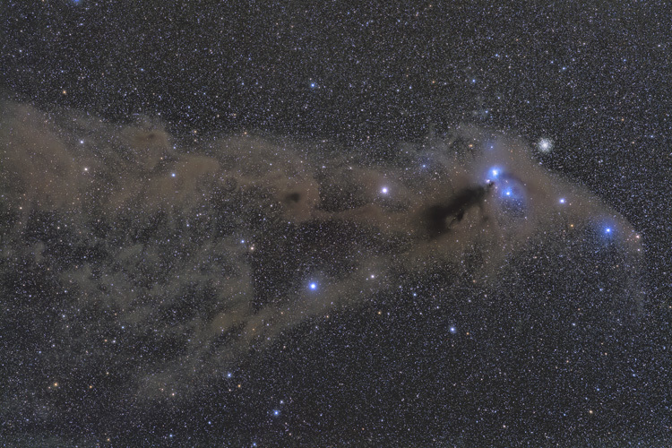2ニュージーランド 天体撮影 星雲 NGC6726 IC4812 南のかんむり