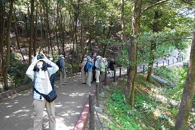 野鳥観察会風景blog東山植物園野鳥観察会2022年5月8日