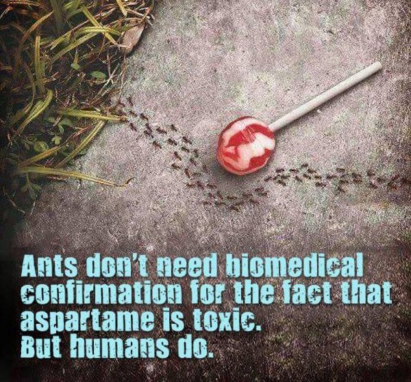 アスパルテーム　蟻