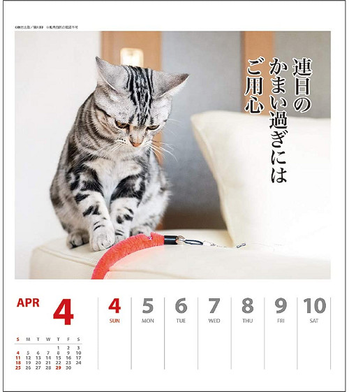 ヨタ５チャンネル 猫川柳カレンダー21